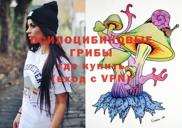 дживик Белокуриха