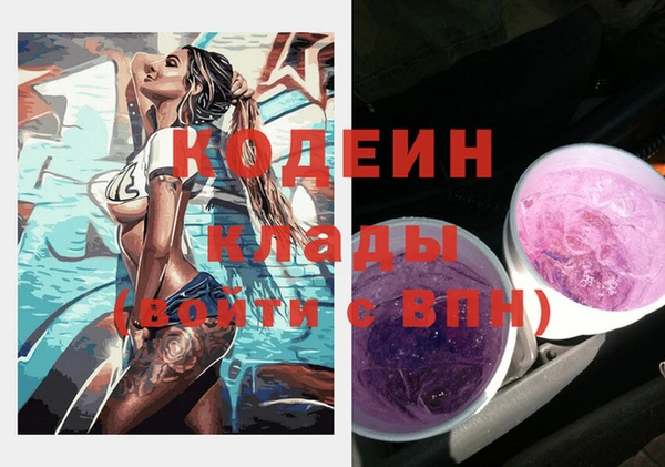 дживик Белокуриха