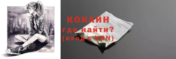 дживик Белокуриха