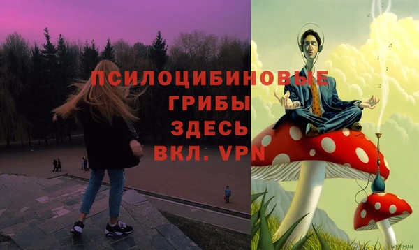MDMA Беломорск